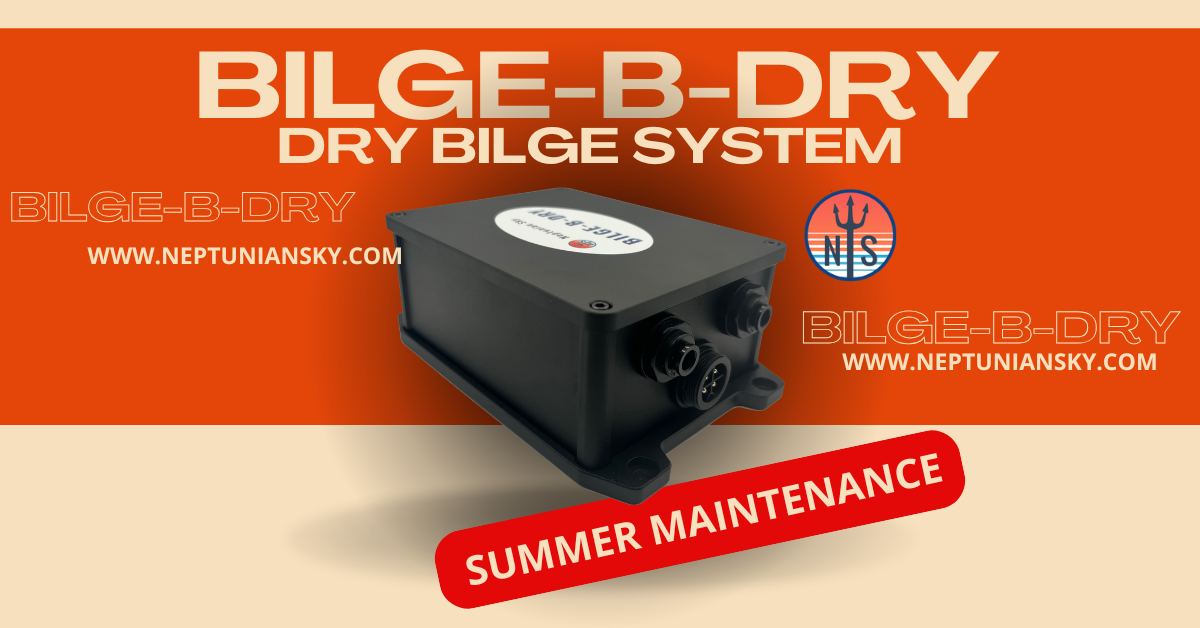 How To Maintain Your BILGE-B-DRY Pump This Summer