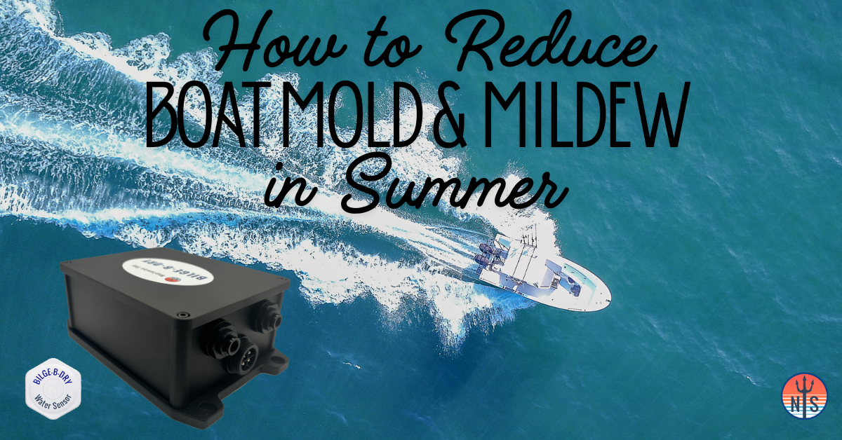 How to Reduce Boat Mold & Mildew in Summer