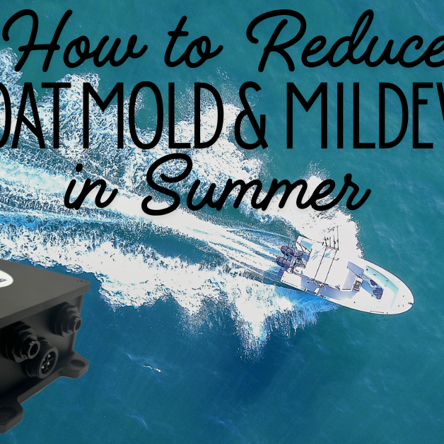 How to Reduce Boat Mold & Mildew in Summer