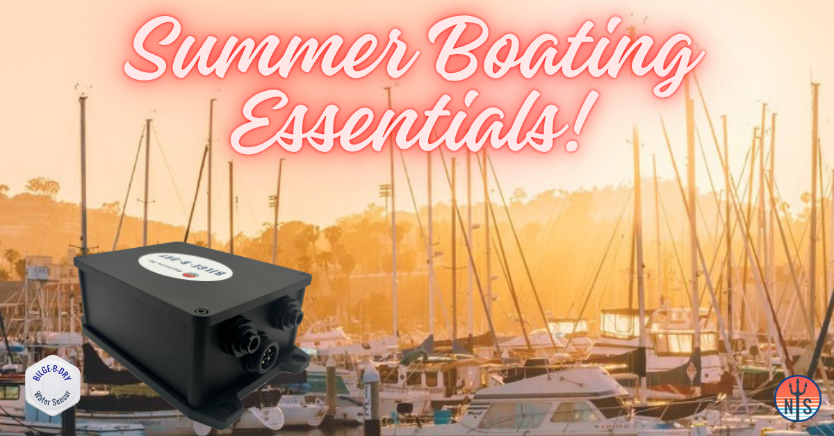 Summer Boating Essentials: Why a Dry Bilge Should Be at the Top of Your Checklist