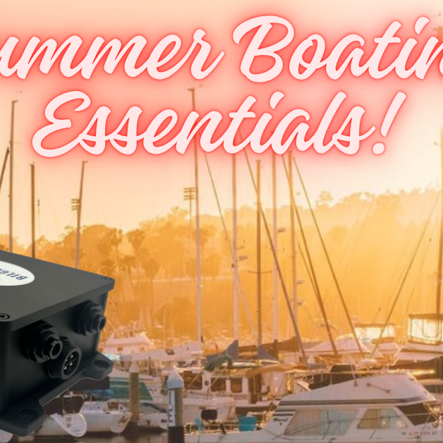 Summer Boating Essentials: Why a Dry Bilge Should Be at the Top of Your Checklist